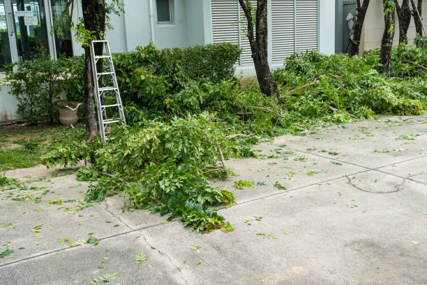 Lawn Maintenance Plans in Athens, WV